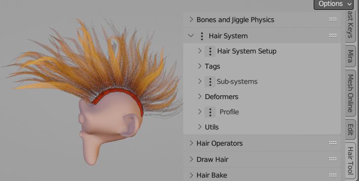 Hair System Diagram
